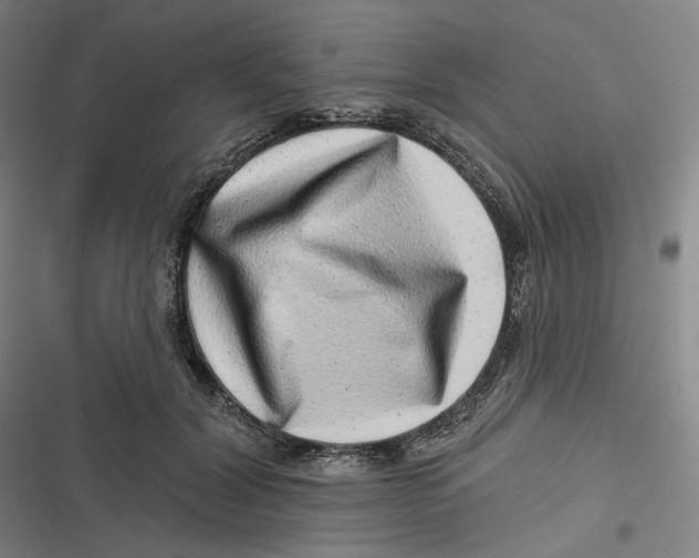 X0000116810604201001081357