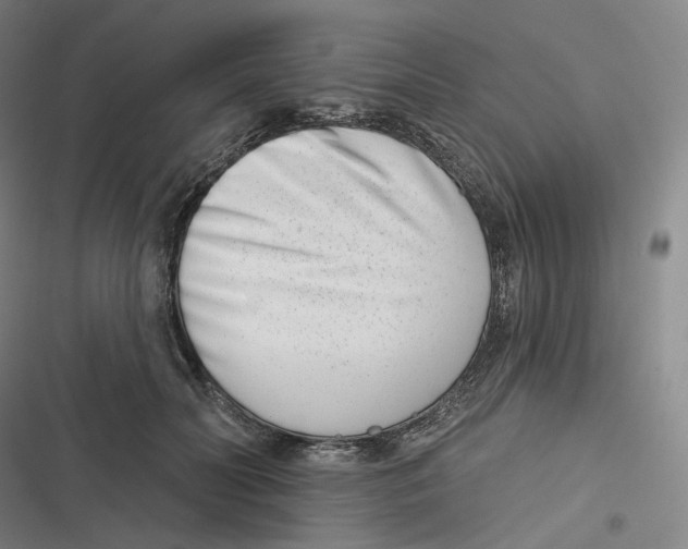 X0000116810606201001081357