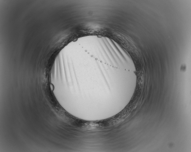 X0000116810607201001081357