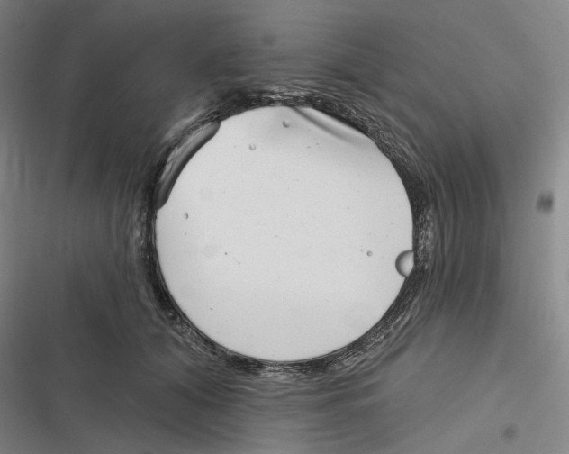 X0000116810608201001081357