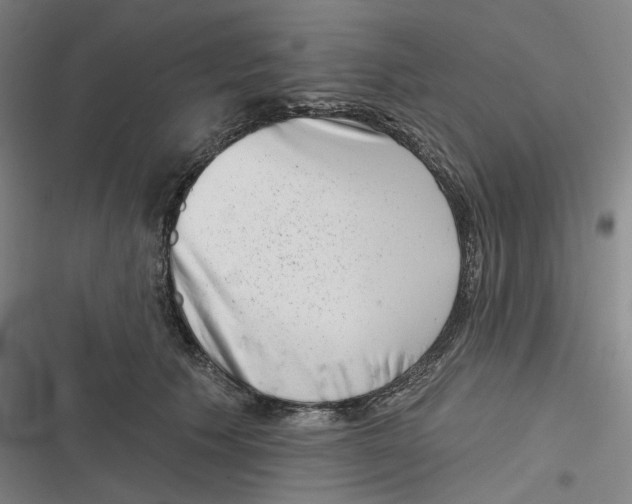 X0000116810609201001081357