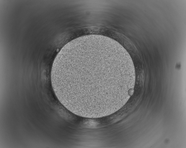 X0000116810610201001081357