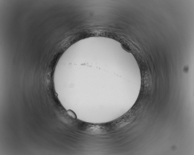 X0000116810611201001081357