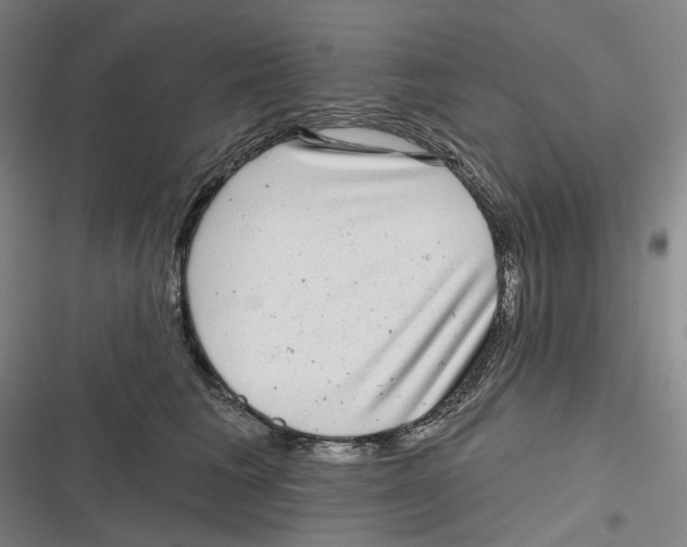 X0000116810613201001081357