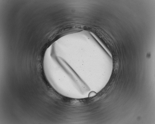 X0000116810616201001081357