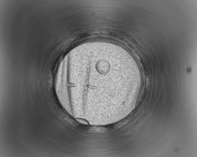 X0000116810617201001081357