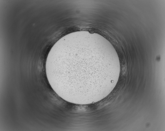 X0000116810618201001081357