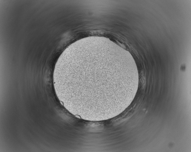 X0000116810619201001081357