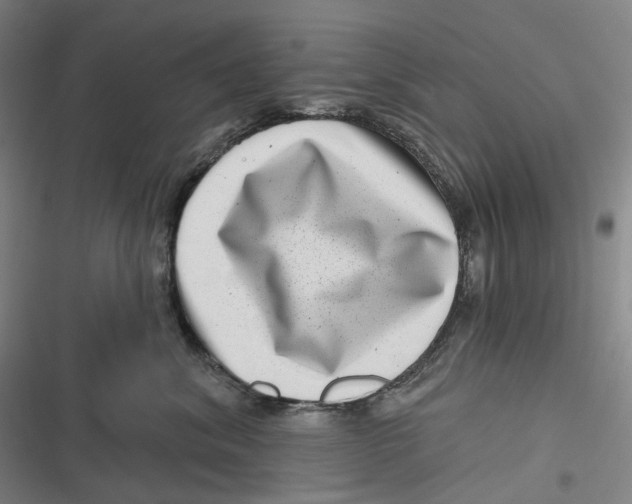 X0000116810620201001081356