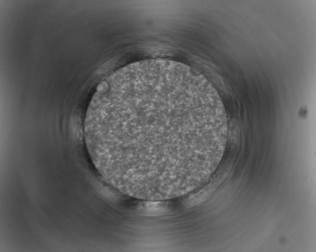 X0000116810622201001081356