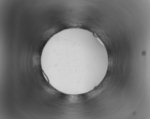 X0000116810623201001081356