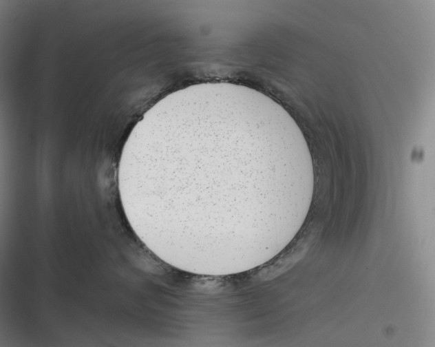 X0000116810624201001081356