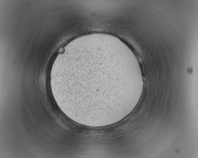 X0000116810626201001081356