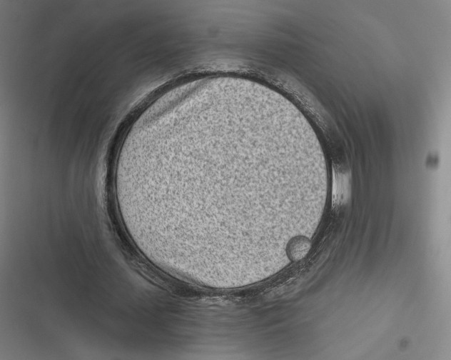 X0000116810627201001081356