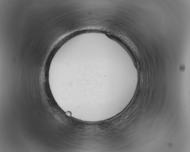 X0000116810628201001081356