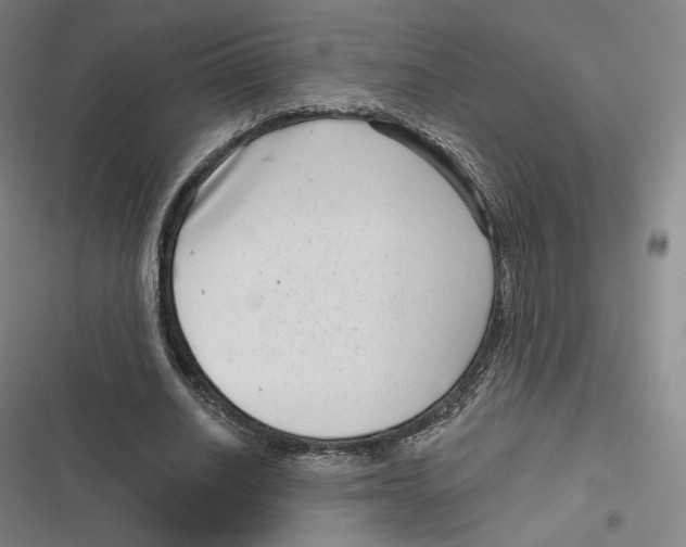 X0000116810630201001081356