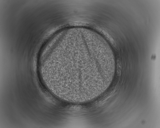 X0000116810631201001081356