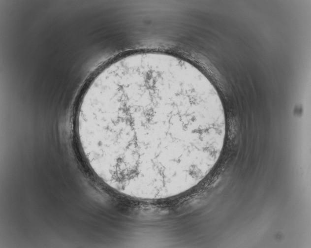 X0000116810632201001081356