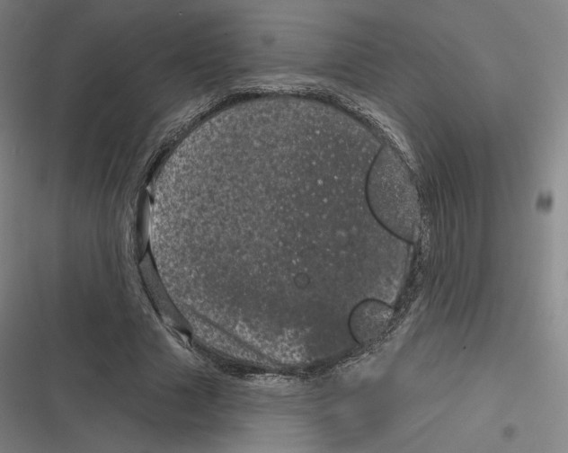 X0000116810633201001081356