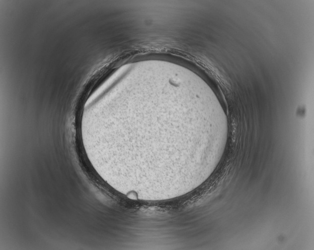 X0000116810634201001081356