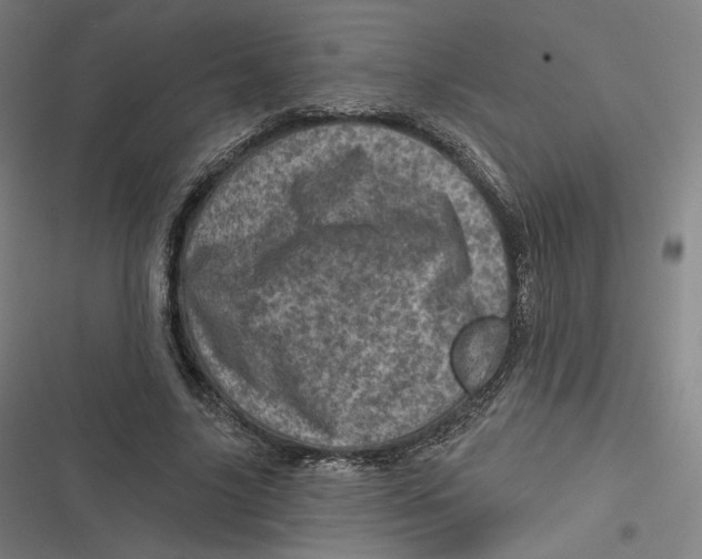 X0000116810635201001081356