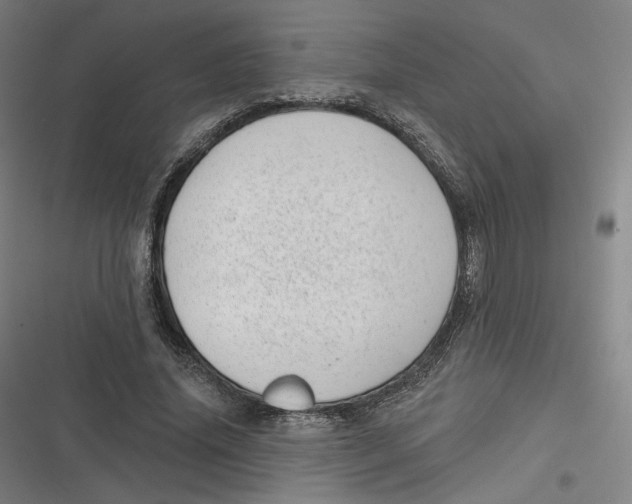 X0000116810636201001081356