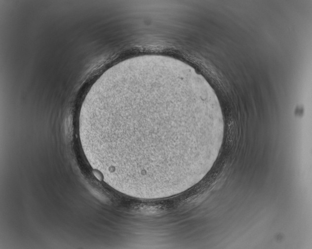 X0000116810638201001081356