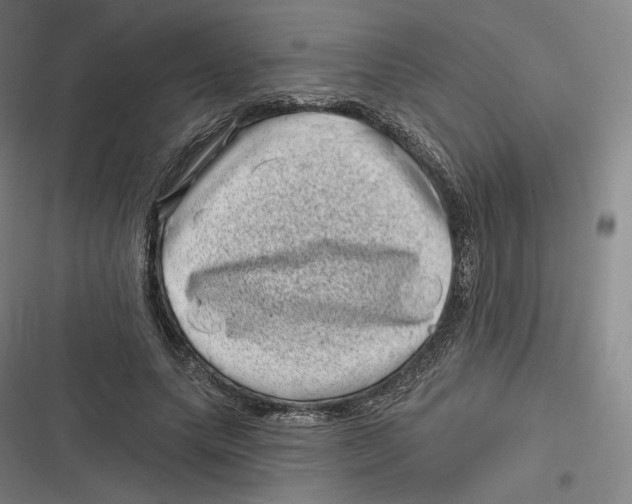 X0000116810639201001081356