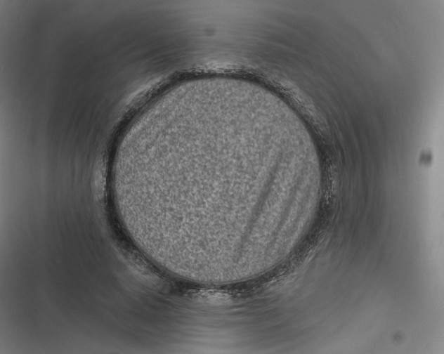 X0000116810640201001081356