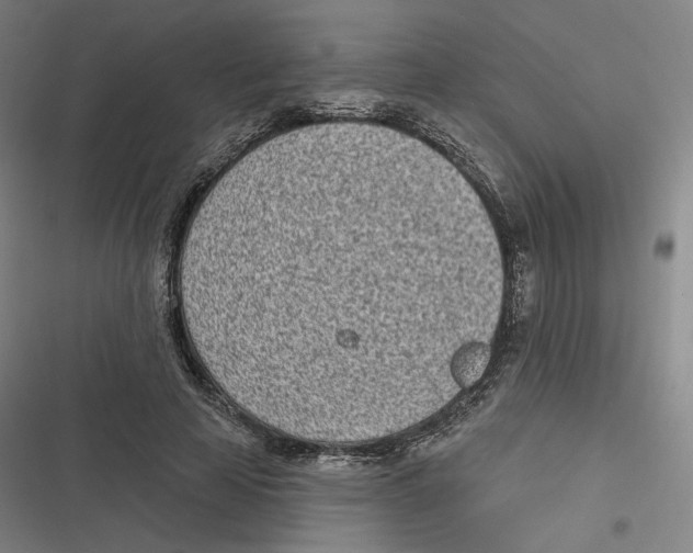 X0000116810641201001081356