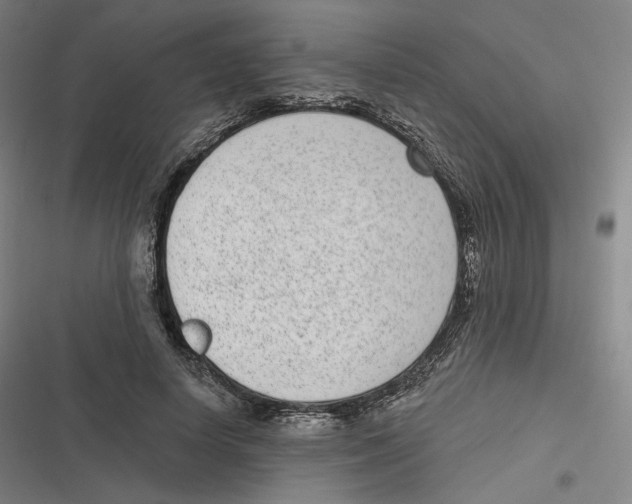 X0000116810642201001081356