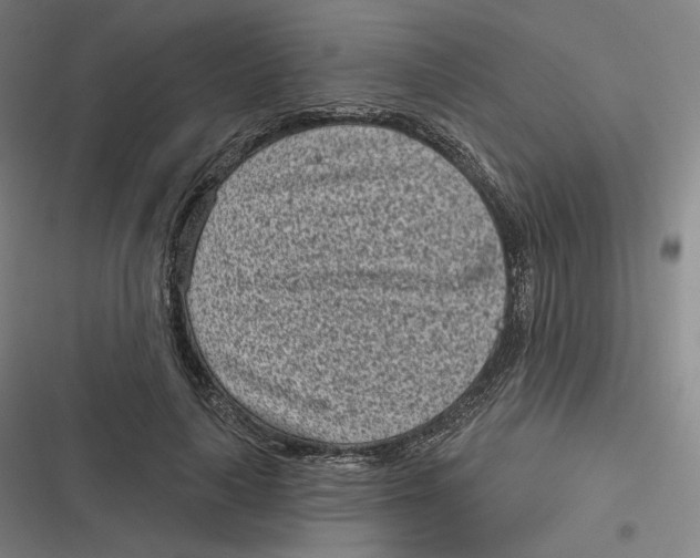 X0000116810643201001081356