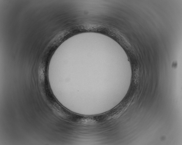 X0000116810644201001081356