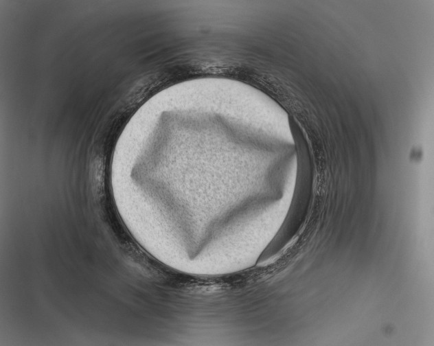 X0000116810646201001081356