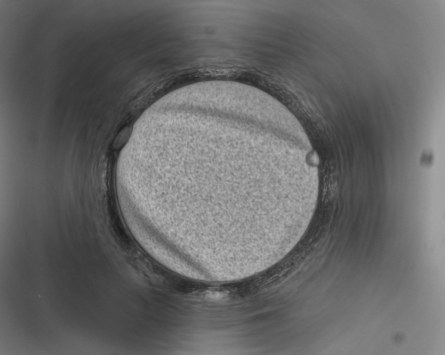 X0000116810647201001081356