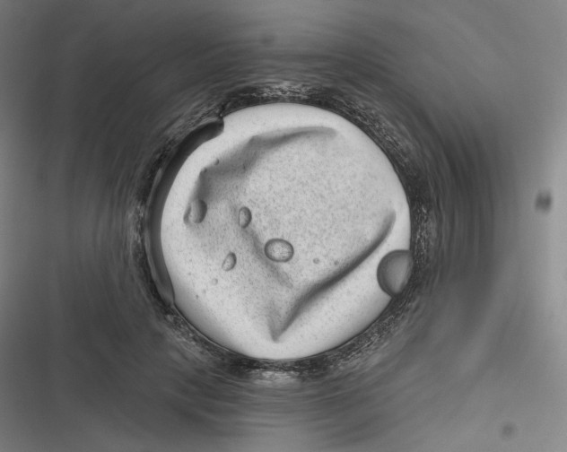 X0000116810649201001081356