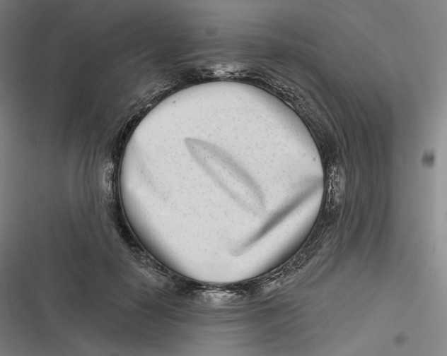 X0000116810650201001081356