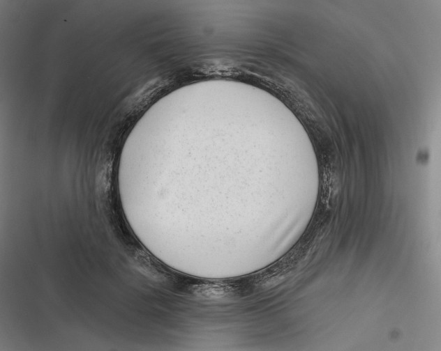 X0000116810652201001081356