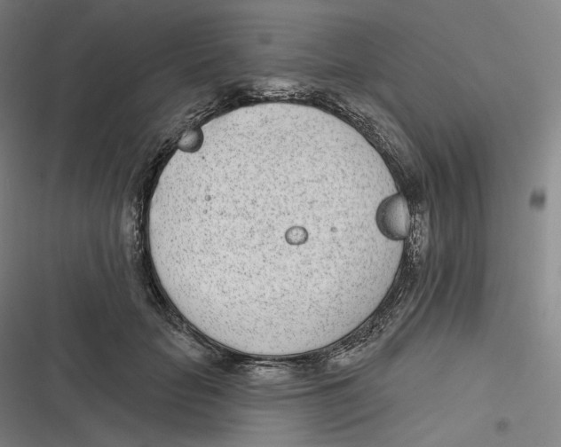 X0000116810653201001081356