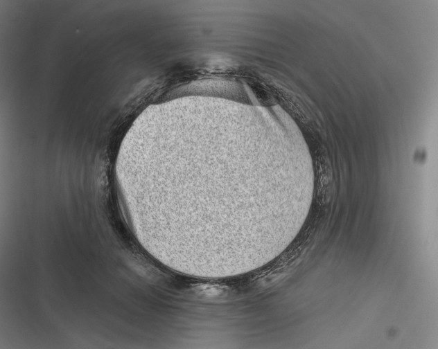 X0000116810654201001081356