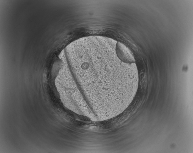 X0000116810655201001081356