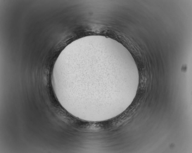 X0000116810656201001081356