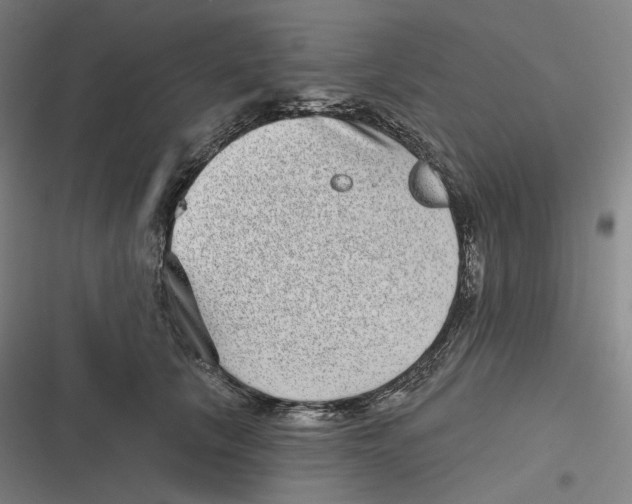 X0000116810657201001081356