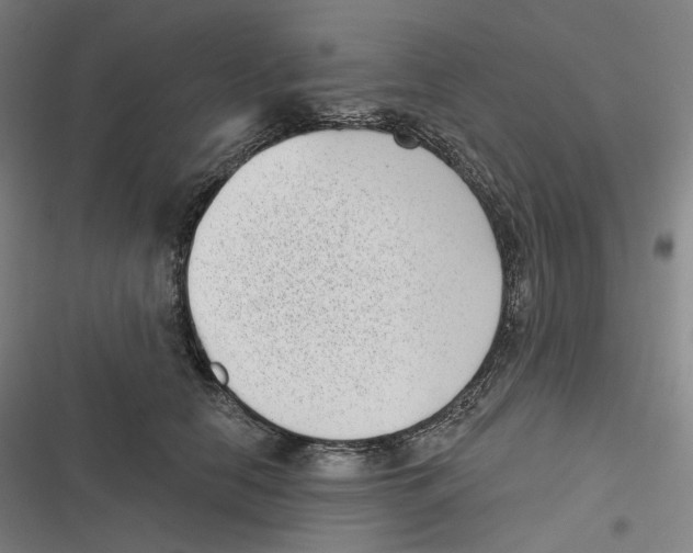 X0000116810658201001081356