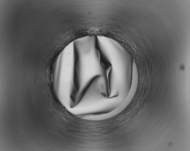 X0000116810659201001081356