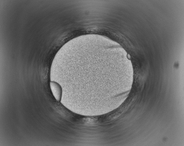 X0000116810660201001081356