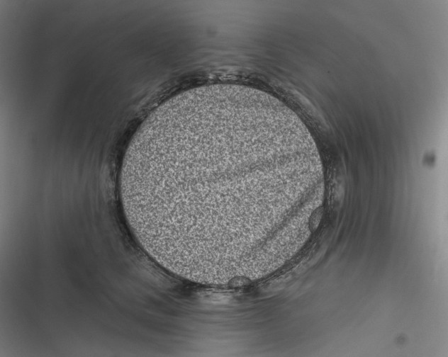 X0000116810661201001081356