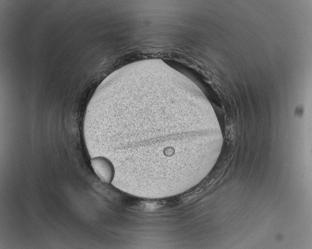 X0000116810662201001081356