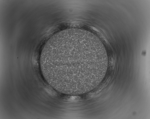 X0000116810663201001081356