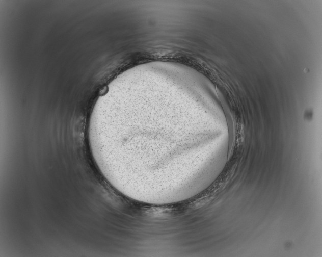 X0000116810664201001081356